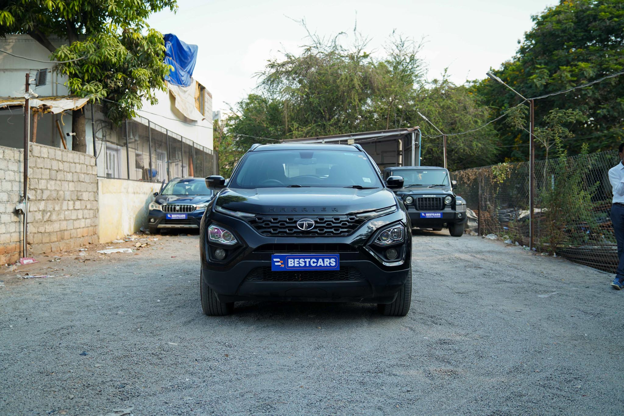 Car photo